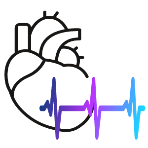 Heart with slow heartbeat bradycardia.
